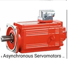 Servo Motor Asynchronous 1
