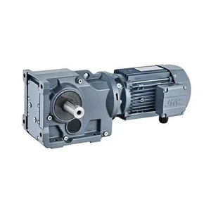 Gearbox motor